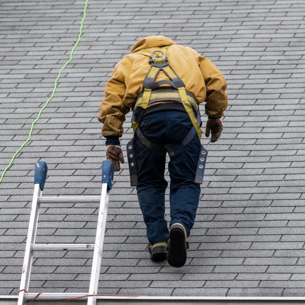 Man on shingle roof performing inspection